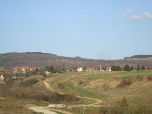 DSCF4393