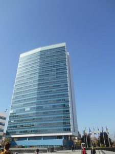DSCN4917